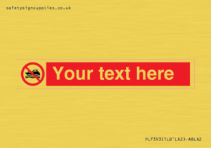 Custom No mechanically powered craft